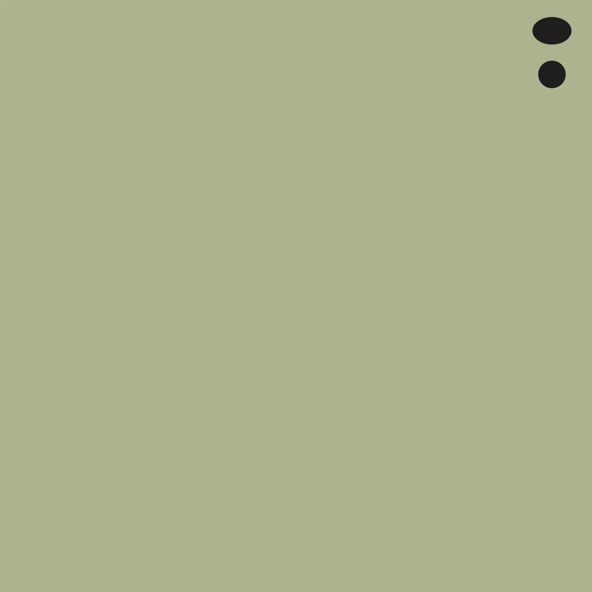 G94 : Grayish Olive
