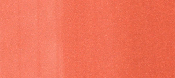 R22 : Light Prawn - Image 2
