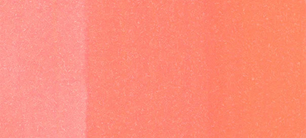 R43 : Bougainvillaea - Image 2