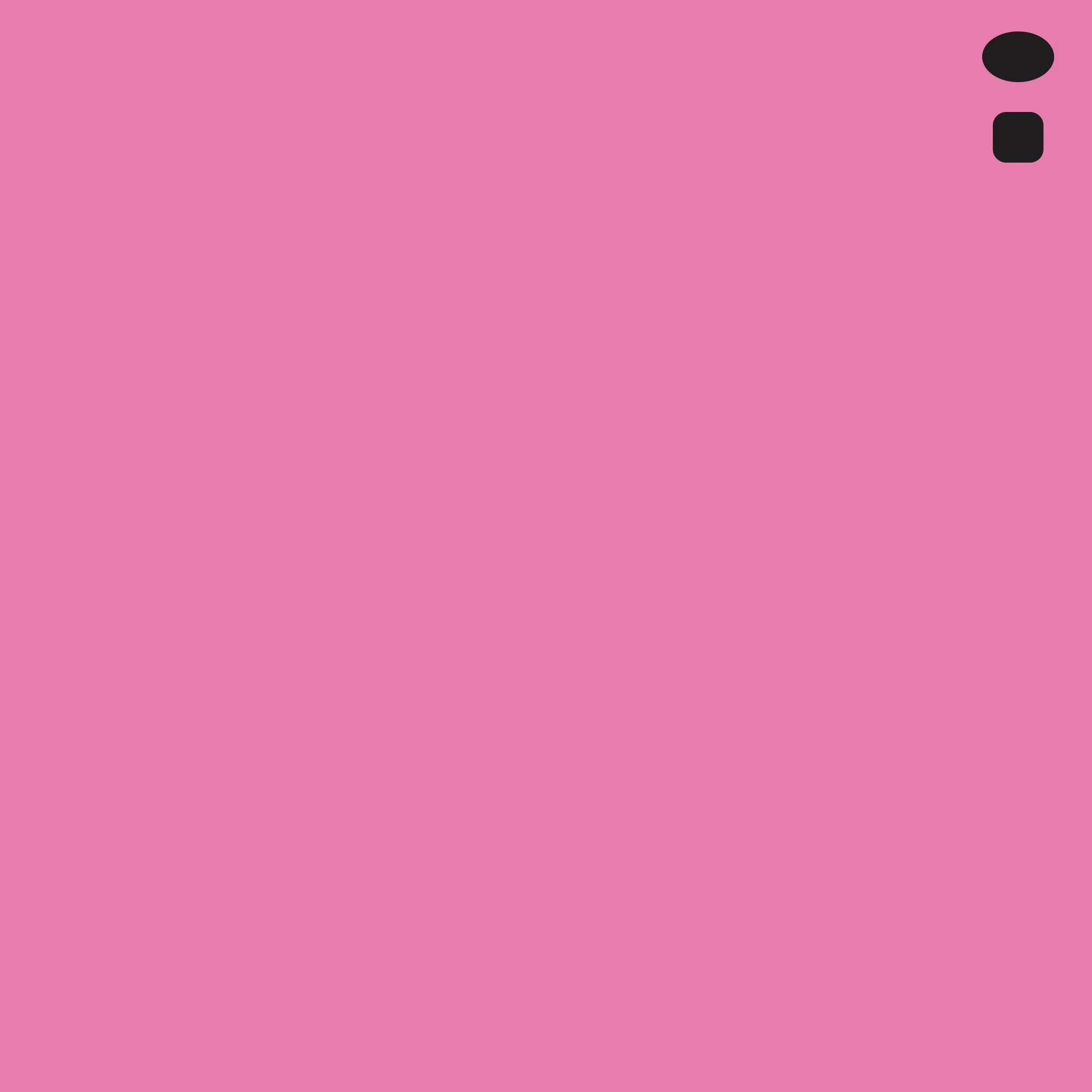 RV09 : Fuchsia