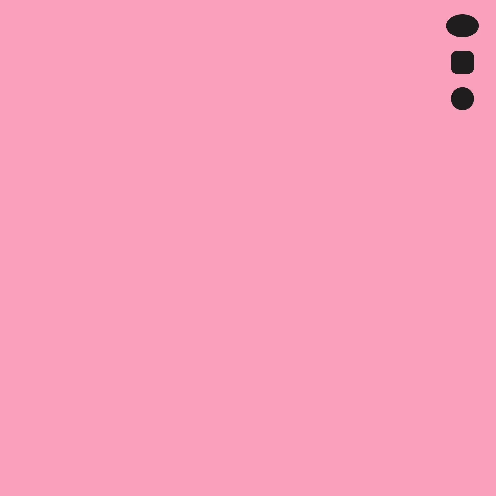 RV14 : Begonia Pink