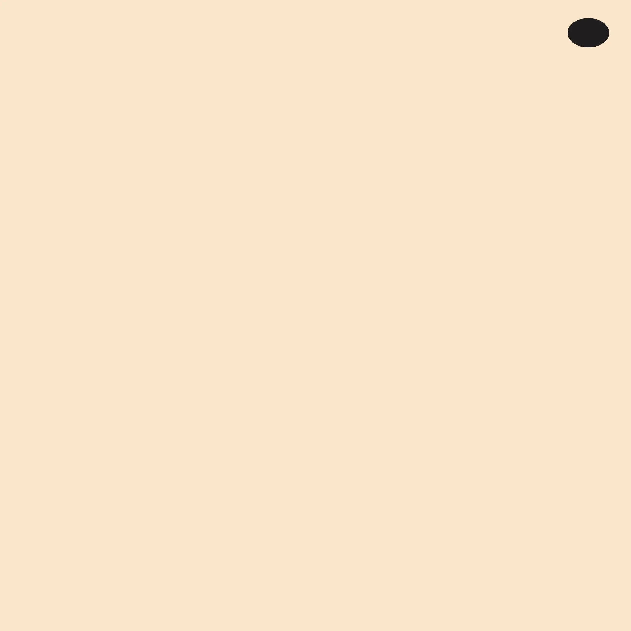 Y32 : Cashmere