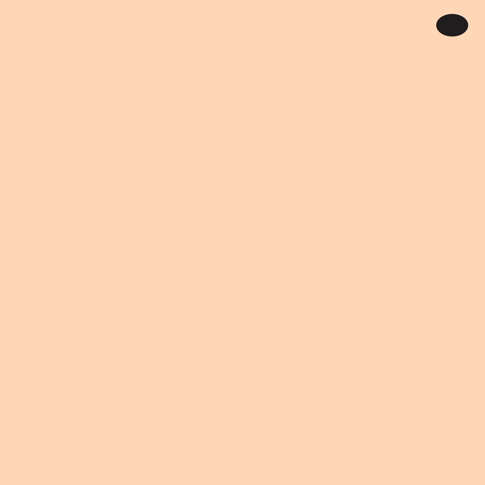 YR01 : Peach Puff